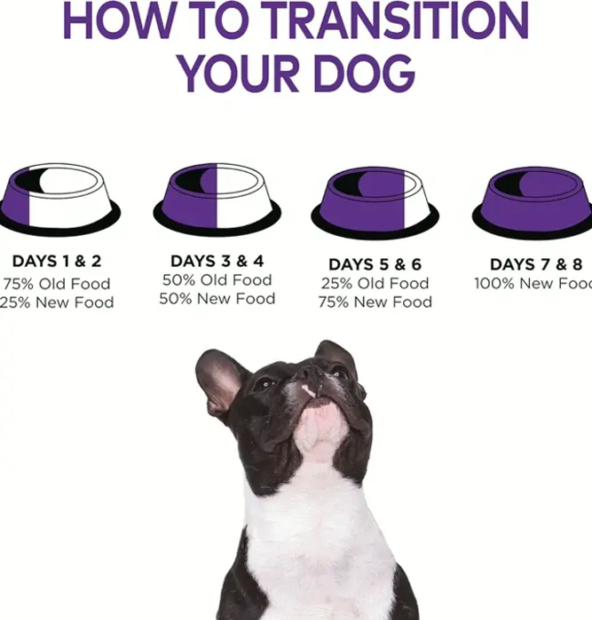 Health Small Breed Kibble and Grains (12-Pound)