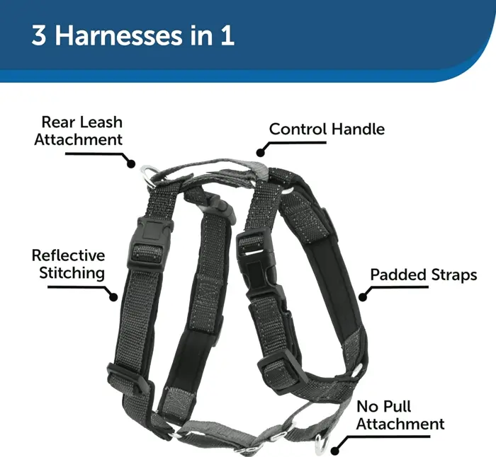 PetSafe's 3-in-1 Harness with Two-Point Control Leash, Resizing, Minor, Black