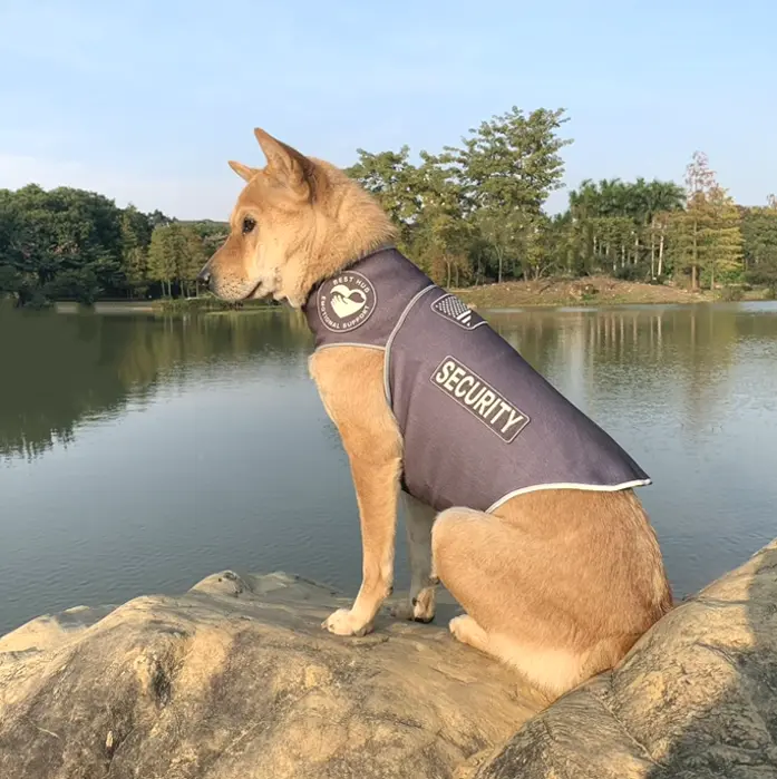 Customizable Pet Shirts: Calming Jacket & Suit - Multi-Functional Gray XS
