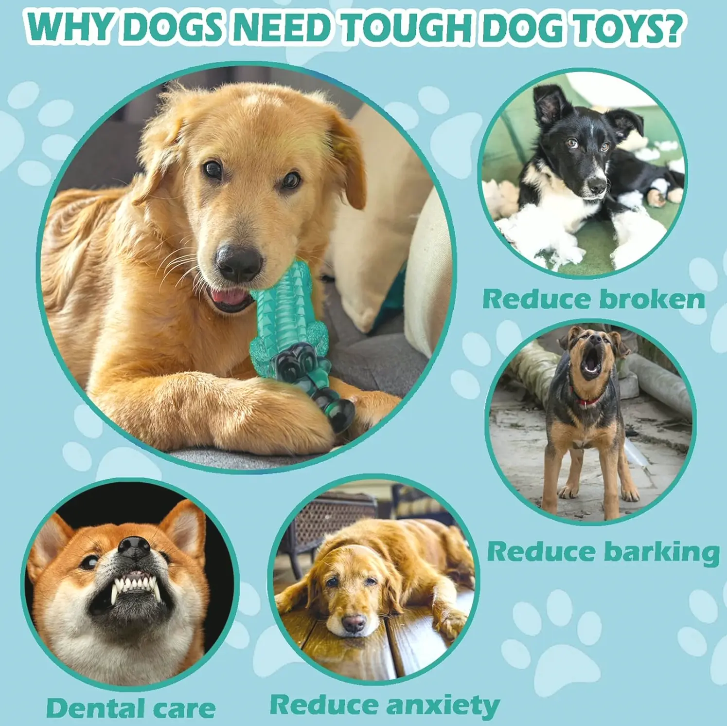 Sturdy Pet Chew Toys for Aggressive Chewers