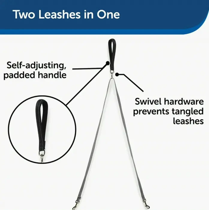 PetSafe's 3-in-1 Harness with Two-Point Control Leash, Resizing, Minor, Black