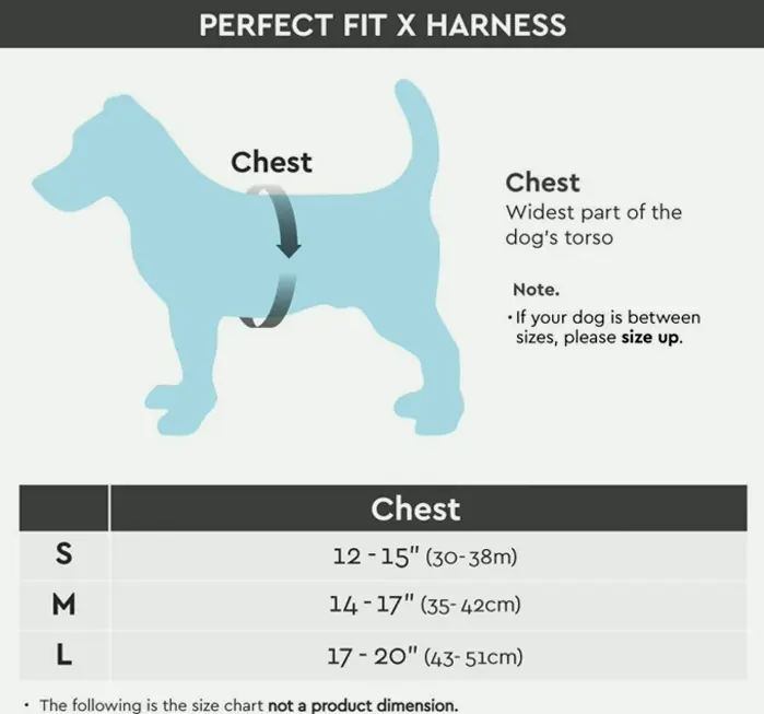 Gooby - X Strap for Dogs, Tiny Dog No-Choke Step-in Harness, Big