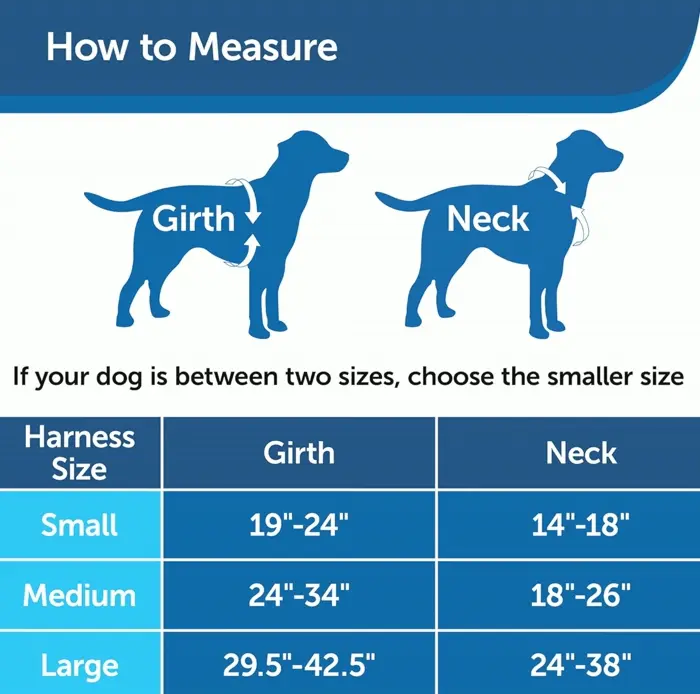 PetSafe's 3-in-1 Harness with Two-Point Control Leash, Resizing, Minor, Black