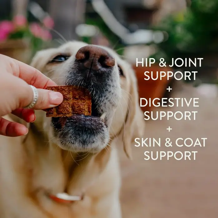 Meaty Pup Treats - Chicken, Beef, & Duck Variety Set