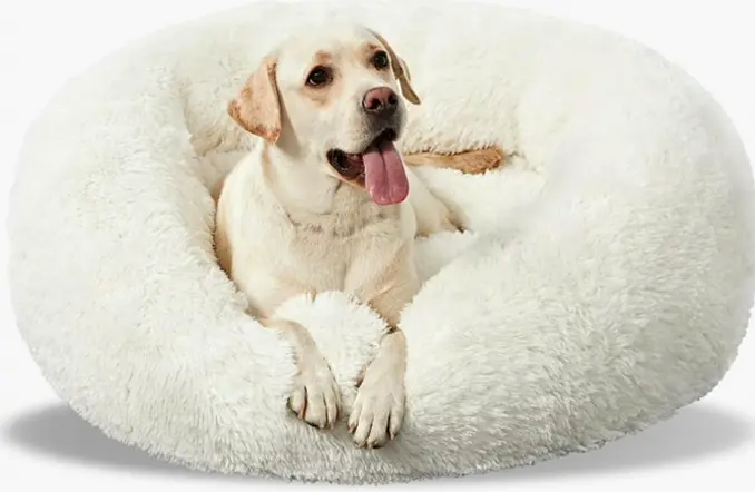 Machine-Washable Calming Dog Bed Round