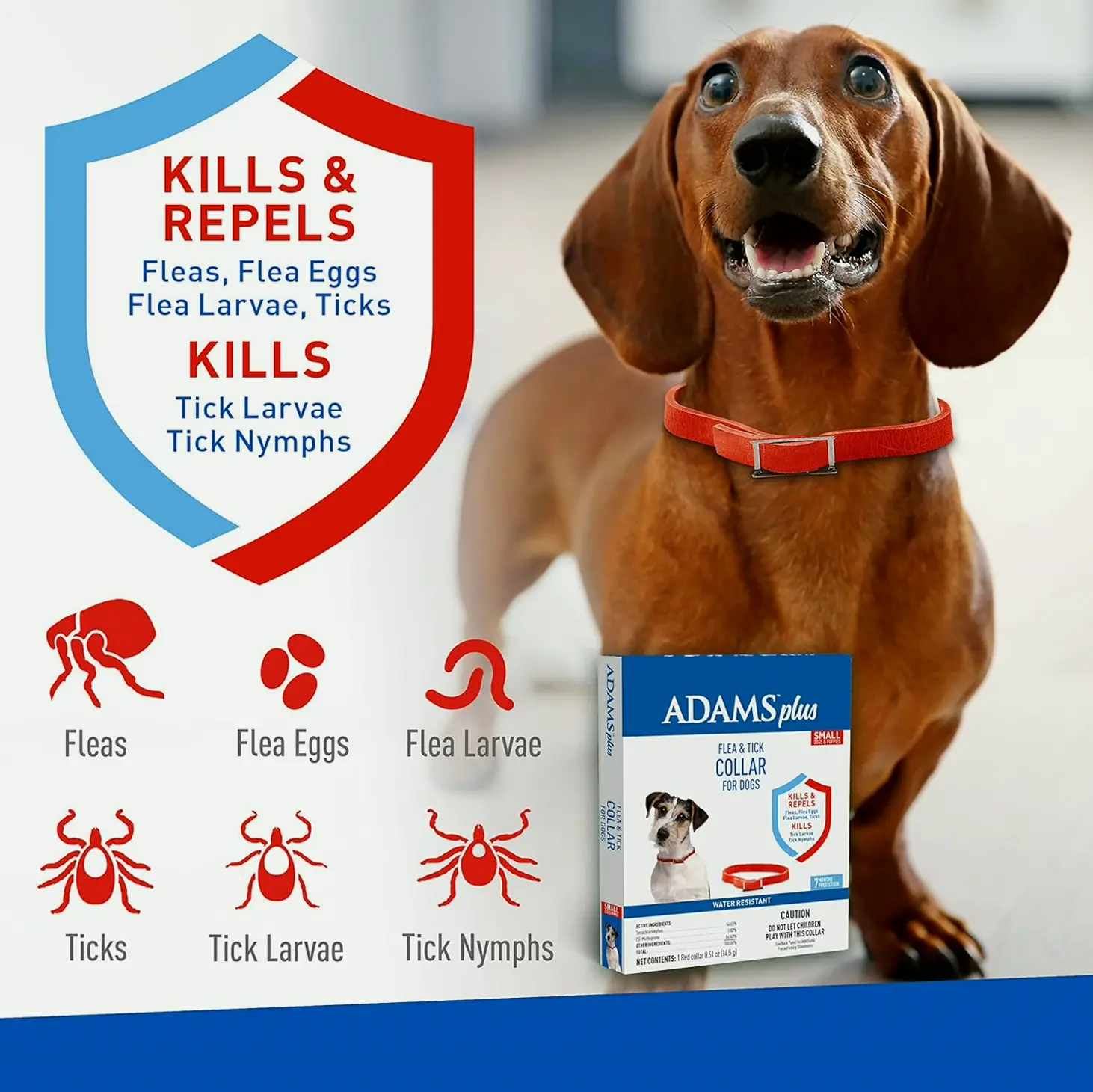 Adams Plus Tick & Flea Dog Collar, 7-Month Protection