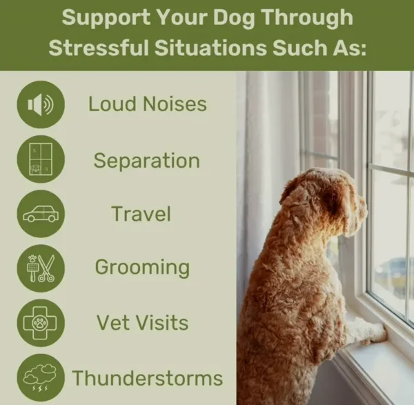 Soothing Chews for Dogs - Hemp & Root
