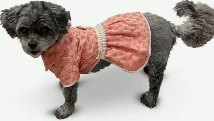 Stylish Dog Clothes (Small, Rosy)