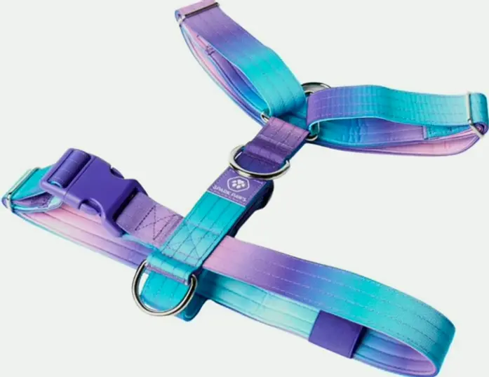 Spark Pets Anti-Pull Canine Harness - Protection for Large, Powerful Dogs - Pitbulls, Boxers - Nineties Retro - L