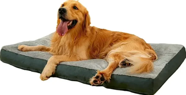 Large Canine Mattresses with Removable Covers