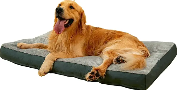 Large Canine Mattresses with Removable Covers