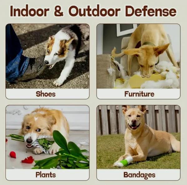 Dog Deterrent Solution: Prevent Chewing