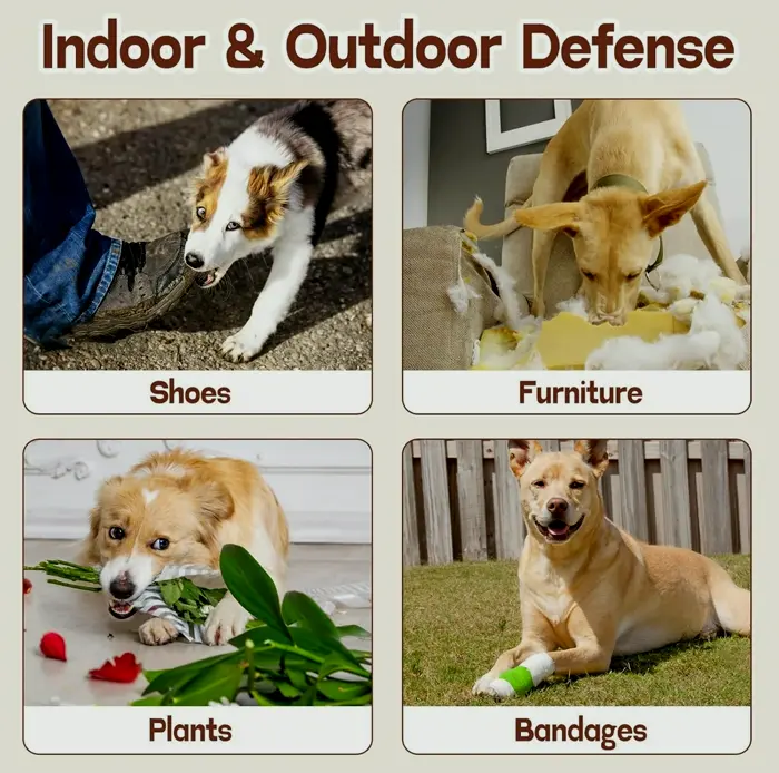 Dog Deterrent Solution: Prevent Chewing