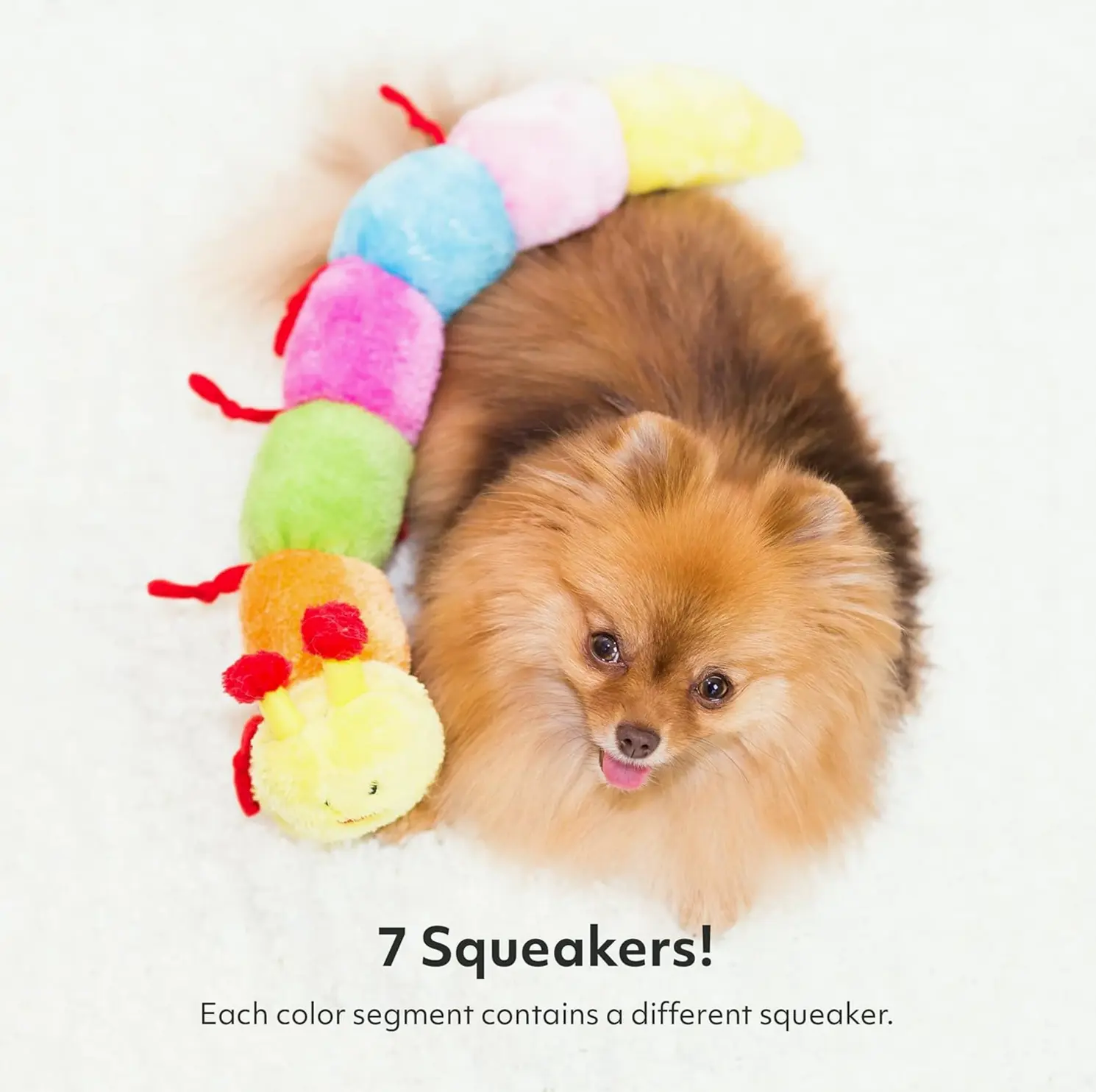 Rainbow Caterpillar Dog Toy with Sounds