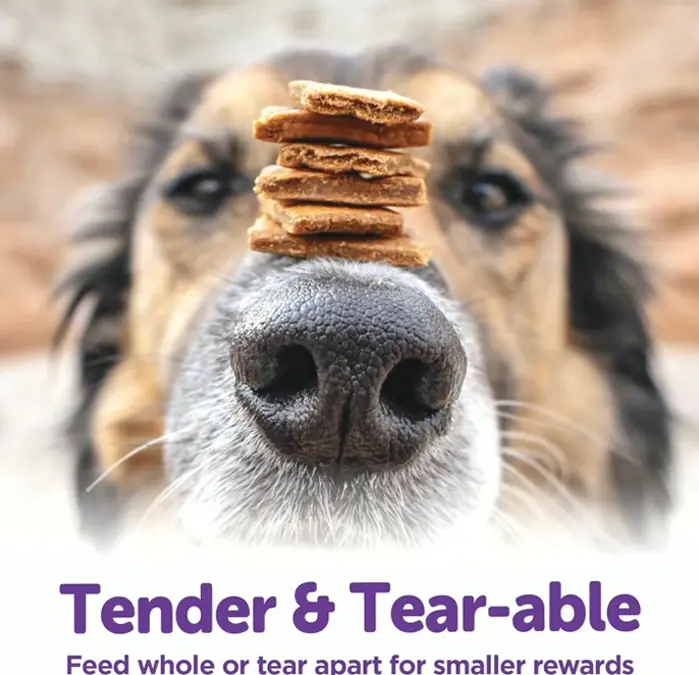 Grain-Free Canine Snacks with Lamb & Salmon, 6-Oz Pack