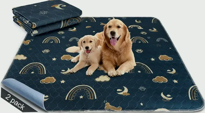 Mary Siwa Absorption Puppy Pee Mat Set