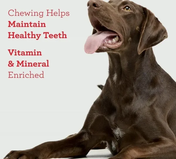 Pet Chew Twist Chews - Rawhide-Free (Fifty Pieces)