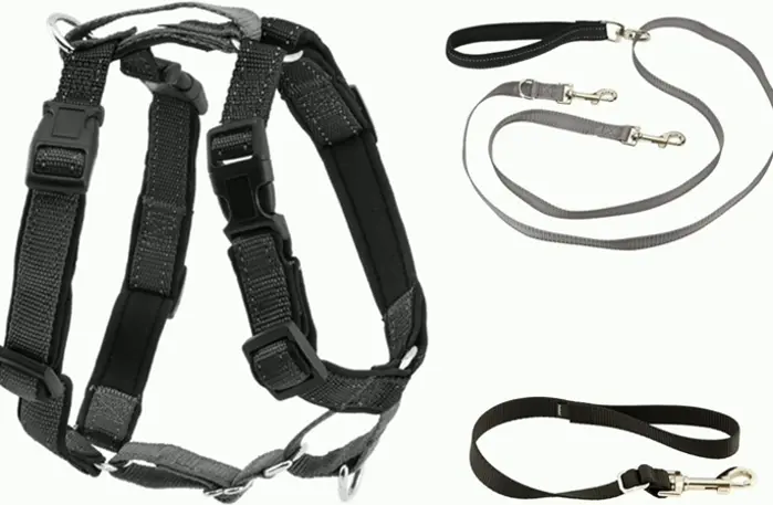 PetSafe's 3-in-1 Harness with Two-Point Control Leash, Resizing, Minor, Black