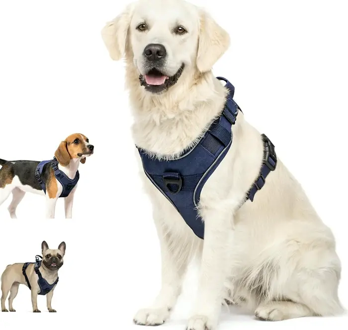 Dog Harness, No Pull, Adaptable, Reflective, Azure, L
