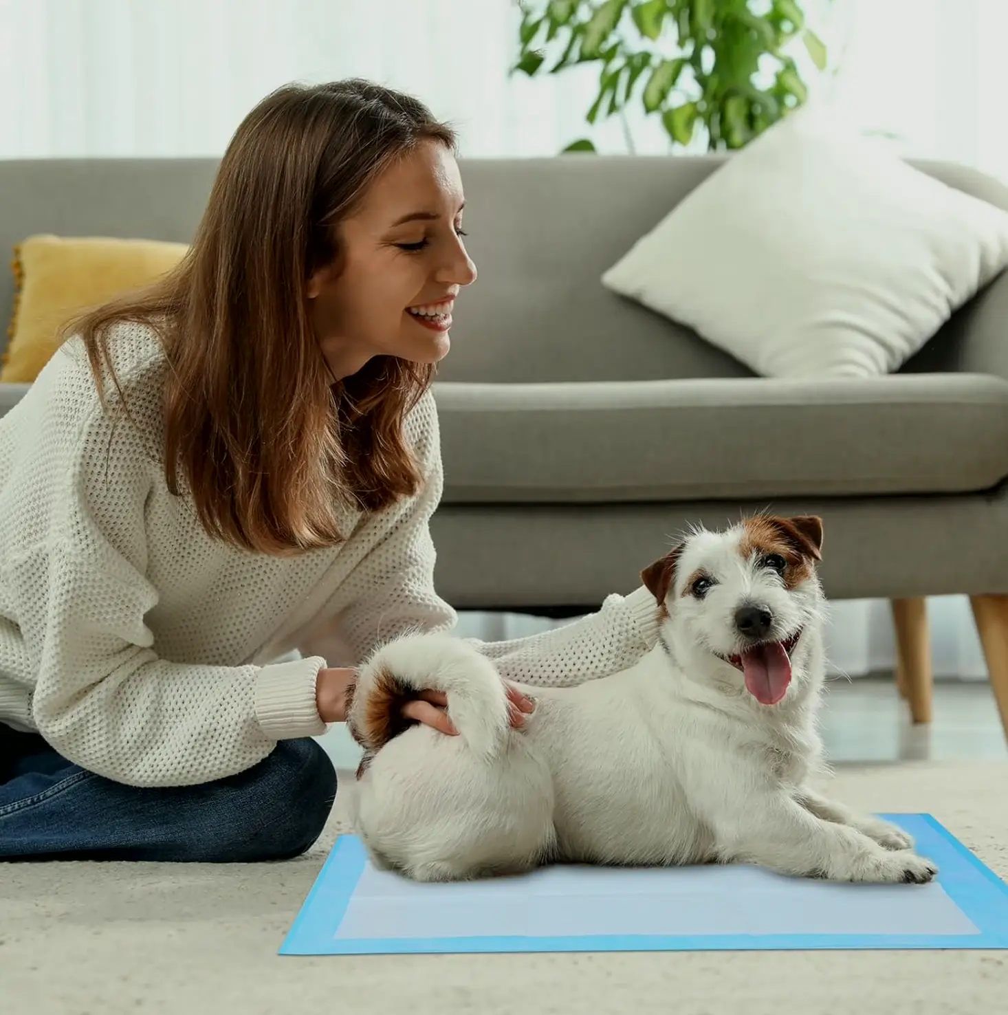 Waterproof Dog Pet Training Mats, Pack of 50