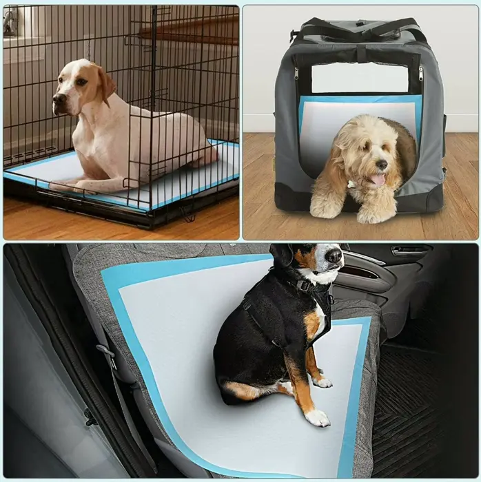 Puppy Pee Pads Training Extra-Large Pack 50