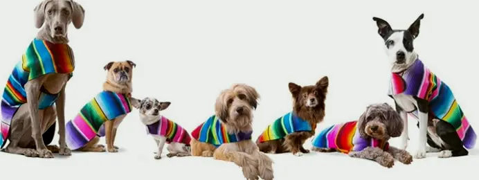 Custom Pet Sweater from Mexican Blanket
