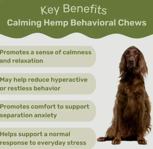 Soothing Chews for Dogs - Hemp & Root