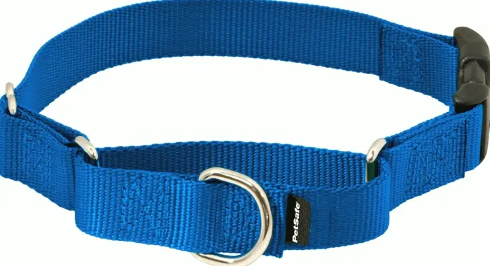 PetSafe Martingale Collar with Easy Snap Buckle, 1" Big, Royal Blue