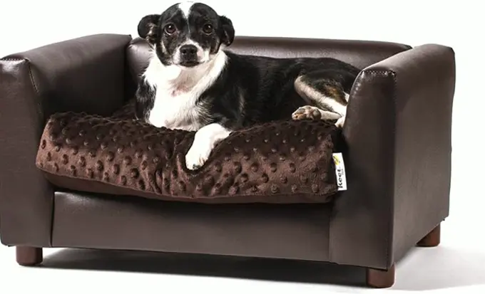 Comfortable High-End Dog Sofa in Chocolate Color