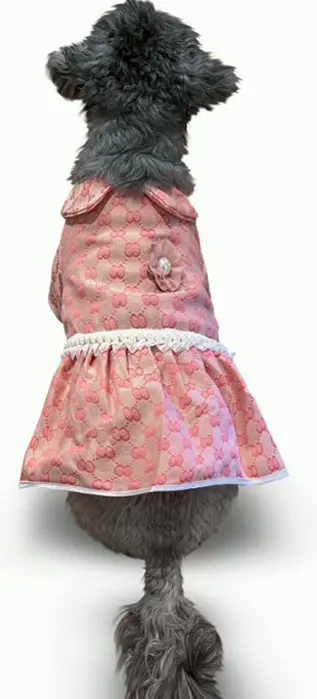 Stylish Dog Clothes (Small, Rosy)