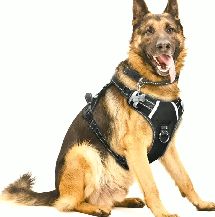 WINESEE Reflective Pet Harness with Leash Clips for All Sizes