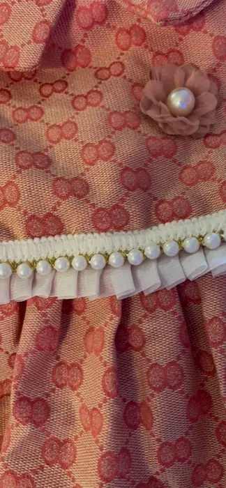 Stylish Dog Clothes (Small, Rosy)