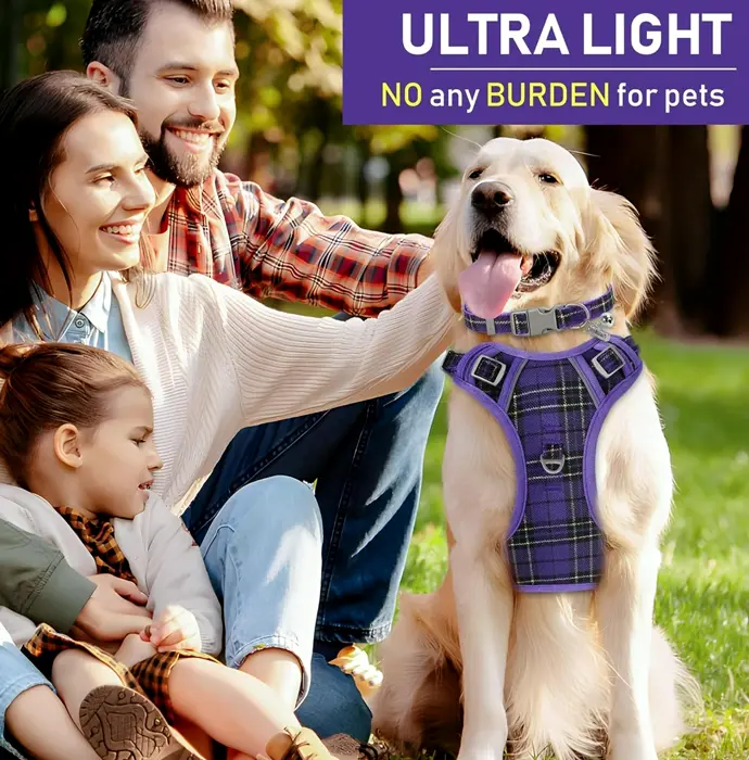 Dog Vest Set, Collar & Leash, Plaid Mid-Size