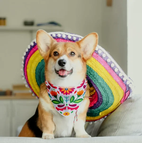 Fiesta Pet Bandana Accessory, Two-Pack
