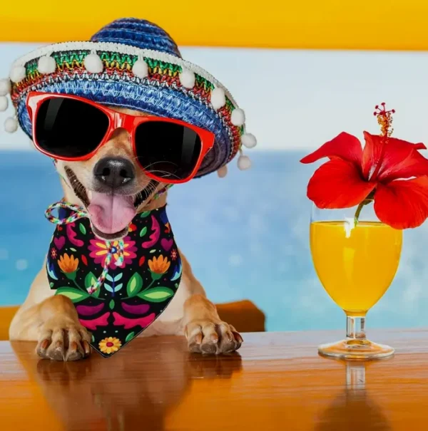 Fiesta Pet Bandana Accessory, Two-Pack