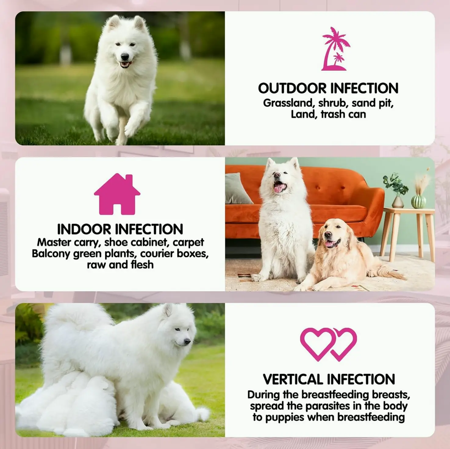 Flea Chews for Canines - Natural Supplement