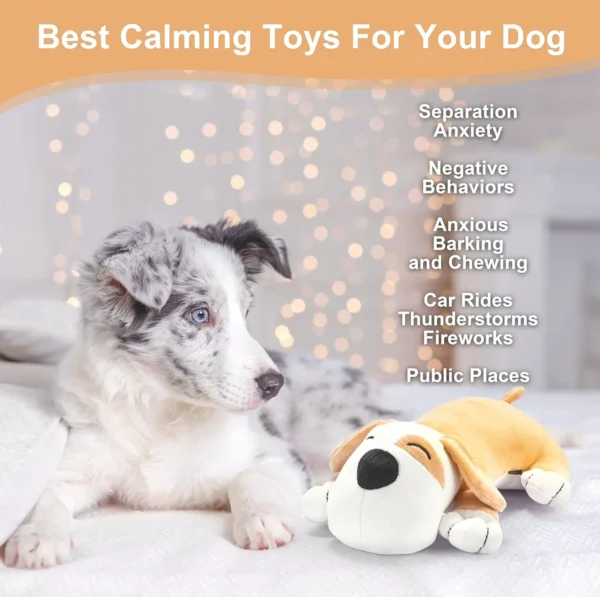 Puppy Comfort Aid to Ease Stress