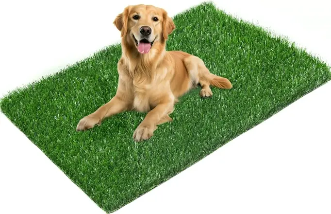 LOOBANI Brand Synthetic Turf Training Pad