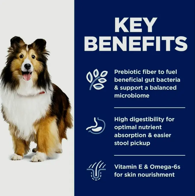 Hill's Scientific Diet Tender Stomach & Skin Support (Grown-up 1-6), Dry Dog Meal, Poultry Formula, 30 lb Sack