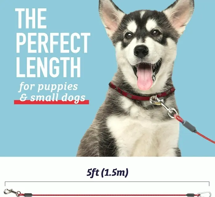 Durable Pet Tether Leash for Big Dogs - Five Foot Indestructible