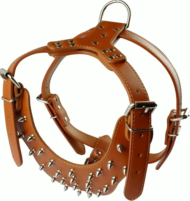 Leather Spiked Harness Set for Big Dogs