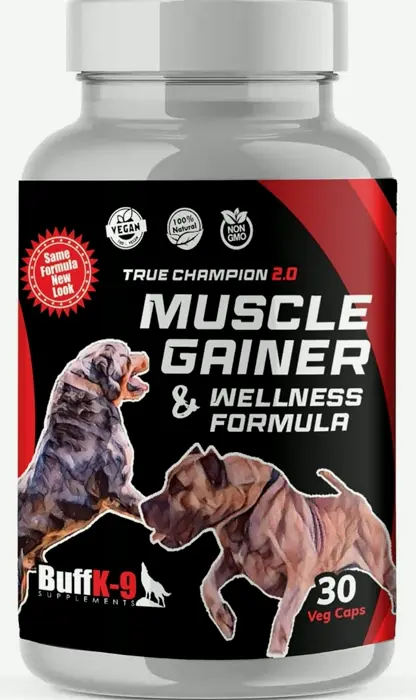 Ultimate Champion Dog 2.0: Muscle Builder, Weight Increase Aid