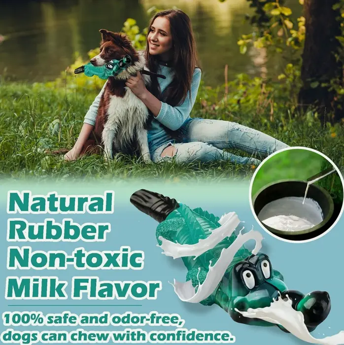 Sturdy Pet Chew Toys for Aggressive Chewers