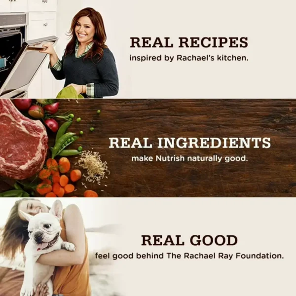 Rachael Nutrish Dish High-quality Dry Dog Food, Beef & Rice, 3.75 lbs
