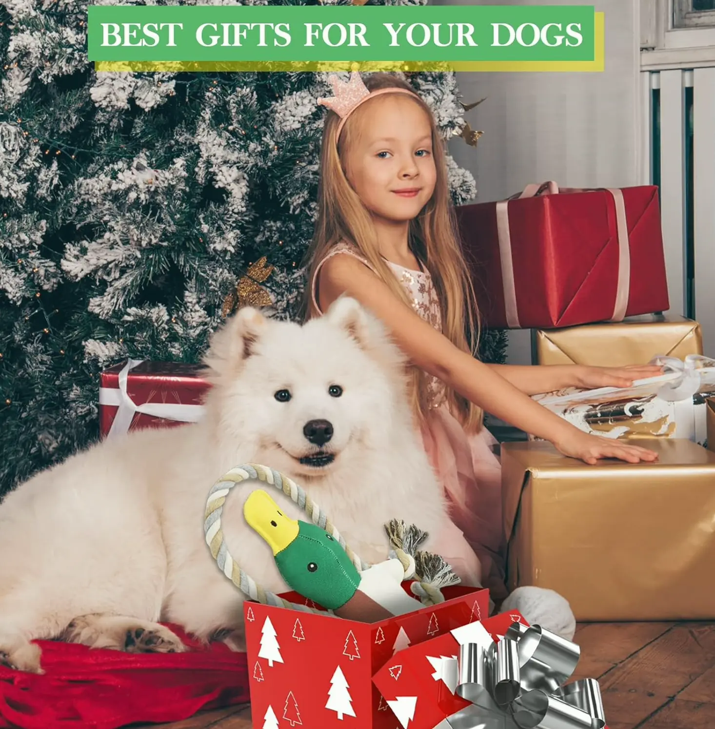 Improved Bird Dog Toys for Strong Chewers