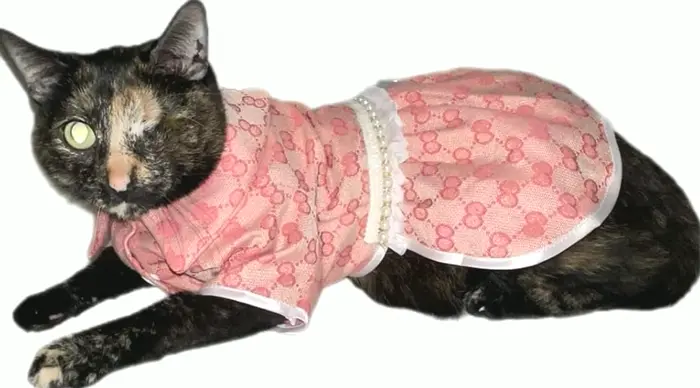 Stylish Dog Clothes (Small, Rosy)