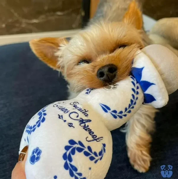 Claws Awoof Dog Toy - Durable Soft Squeaker