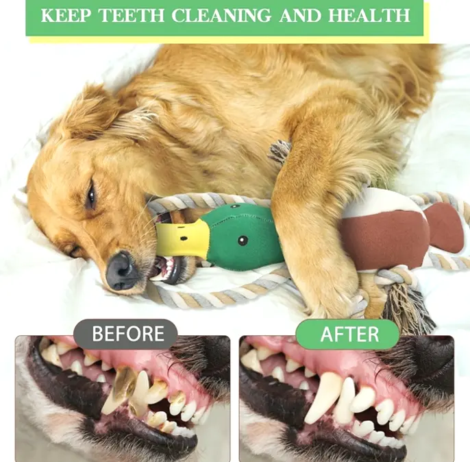 Improved Bird Dog Toys for Strong Chewers
