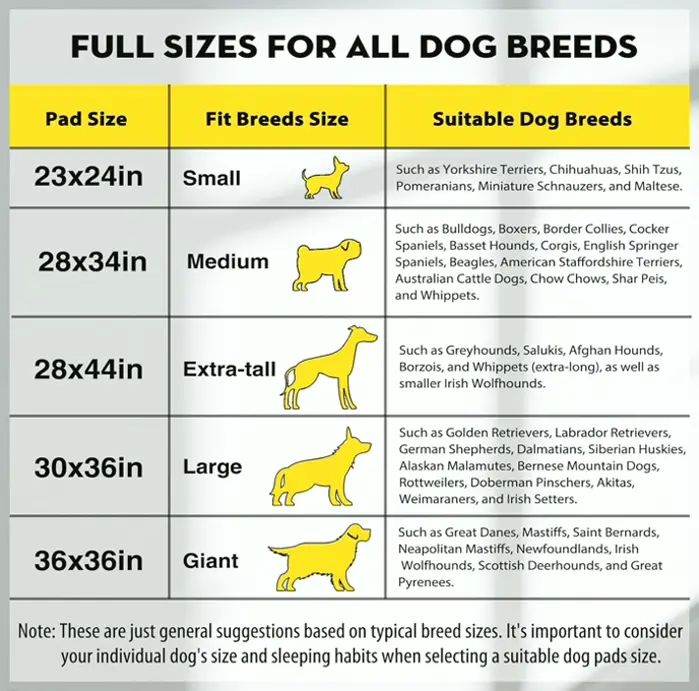 CROCI Oversized Charcoal Pads for Pups - Absorbent (35 Counts)