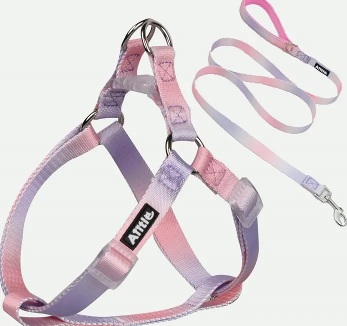 Dog Halter and Leash Set, No-Pull, Modifiable